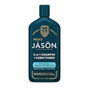 Jason Men 2in 1 dry & fine hair