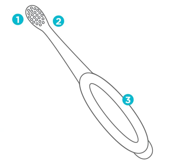 Fisher price baby toothbrush pack of 2 – Image 7